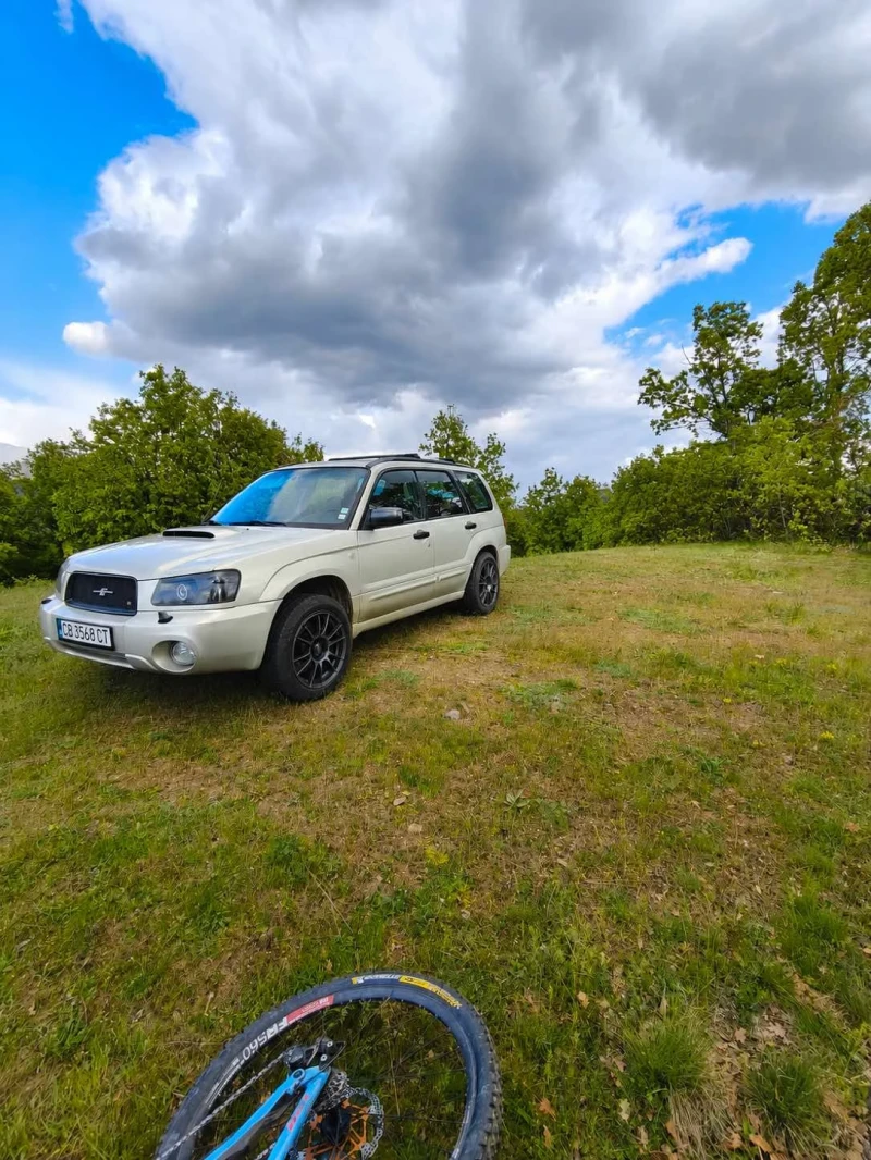 Subaru Forester 2.5 XT Ръчни скорости - 8000 € / 15646.64 лв. - 39620241 1 | Car24.bg Subaru Forester 2.5 XT Ръчни скорости - 8000 € / 15646.64 лв. - 39620241 1