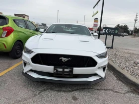 Ford Mustang * GT * CARFAX * ЦЕНА ДО БГ - 28000 € / 54763.24 лв. - 22471397 6 | Car24.bg Ford Mustang * GT * CARFAX * ЦЕНА ДО БГ - 28000 € / 54763.24 лв. - 22471397 6