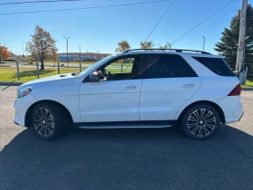 Mercedes-Benz GLE 350 | AMG-Line | Панорама | АвтоКредит | ЦЕНА ДО БГ | Auto.bg — изображение 2 Mercedes-Benz GLE 350 | AMG-Line | Панорама | АвтоКредит | ЦЕНА ДО БГ | Auto.bg — изображение 2