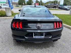 Ford Mustang BULLITT ЦЕНА ДО БЪЛГАРИЯ РЕГИСТРАЦИЯ & АВТОКРЕДИТ | Auto.bg — изображение 5 Ford Mustang BULLITT ЦЕНА ДО БЪЛГАРИЯ РЕГИСТРАЦИЯ & АВТОКРЕДИТ | Auto.bg — изображение 5