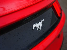Ford Mustang * ECOBOOST PREMIUM | BSM | BACK UP CAMERA | HEATED | Auto.bg — изображение 15 Ford Mustang * ECOBOOST PREMIUM | BSM | BACK UP CAMERA | HEATED | Auto.bg — изображение 15