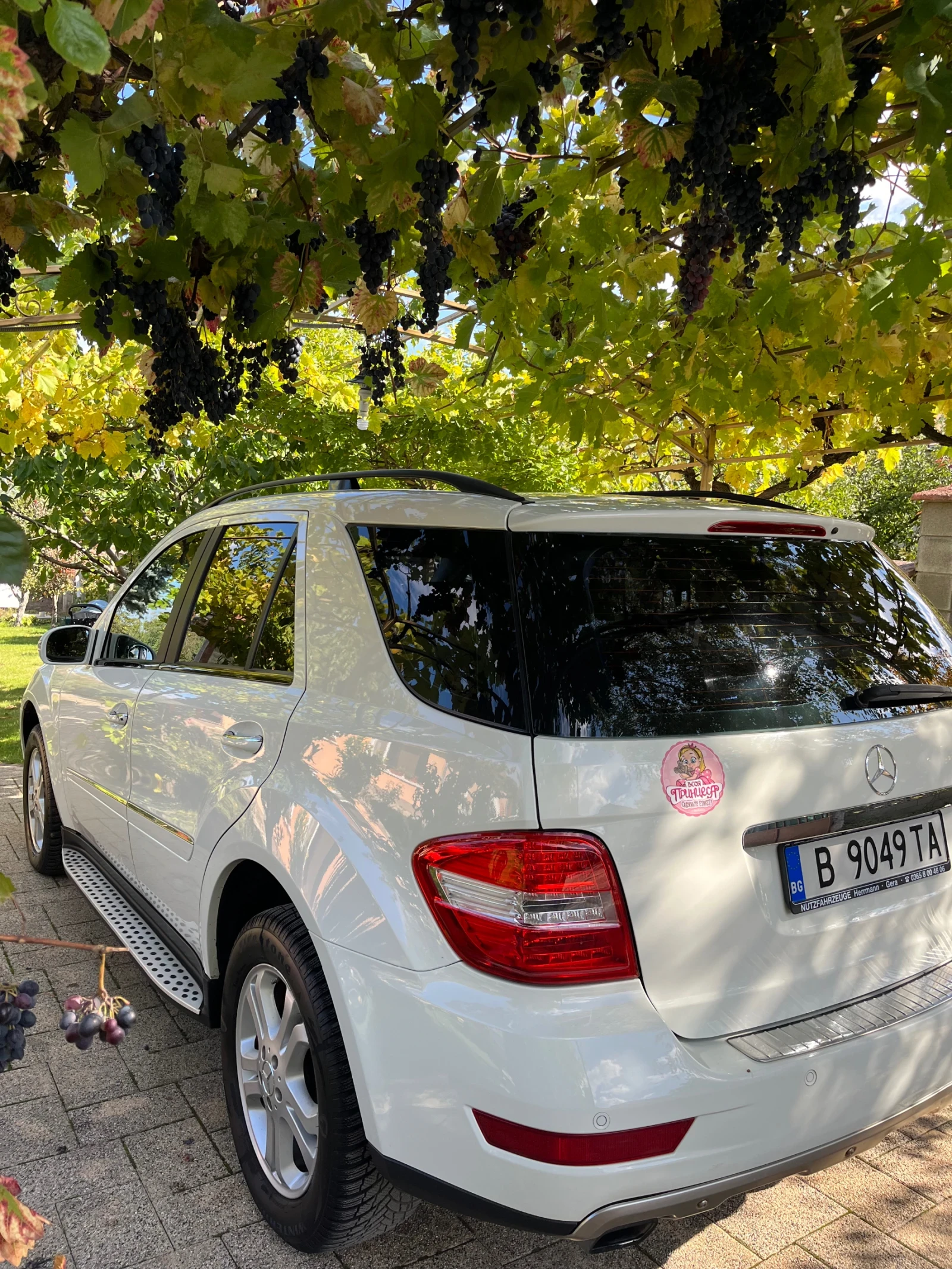 Mercedes-Benz ML 320 CDI 4 Matic - изображение 4 | Auto.bg Mercedes-Benz ML 320 CDI 4 Matic - изображение 4