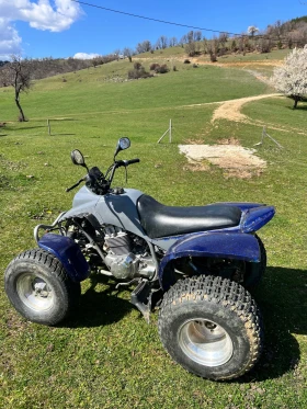 Honda 250 Barossa | Auto.bg — изображение 3 Honda 250 Barossa | Auto.bg — изображение 3