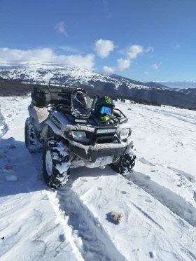 Kawasaki Brute Force