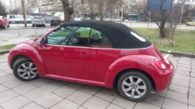 VW Beetle