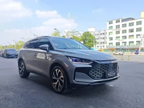 BYD Tang New Energy 2025 DM-i 115KM Prestige Type