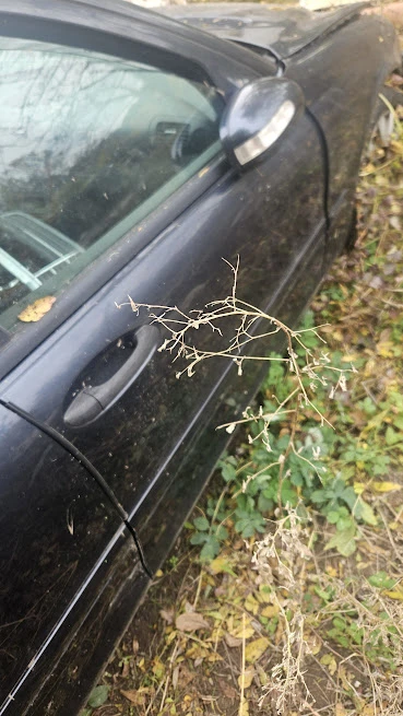 Mercedes-Benz C 220 комби - изображение 4 | Auto.bg Mercedes-Benz C 220 комби - изображение 4