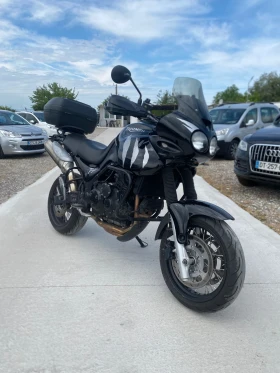 Triumph Tiger 955i