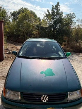 VW Polo