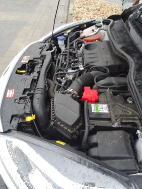 Ford Fiesta Active - 7950 € / 15548.85 лв. - 19876085 8 | Car24.bg Ford Fiesta Active - 7950 € / 15548.85 лв. - 19876085 8