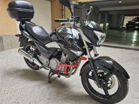 Suzuki Inazuma GW 250 | Auto.bg — изображение 3 Suzuki Inazuma GW 250 | Auto.bg — изображение 3