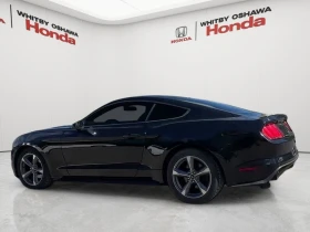 Ford Mustang * V6 * АвтоКредит (ЦЕНА ДО БГ) - 11699 € - 69538502 7 | Car24.bg Ford Mustang * V6 * АвтоКредит (ЦЕНА ДО БГ) - 11699 € - 69538502 7