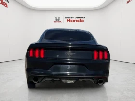 Ford Mustang * V6 * АвтоКредит (ЦЕНА ДО БГ) - 11699 € - 69538502 2 | Car24.bg Ford Mustang * V6 * АвтоКредит (ЦЕНА ДО БГ) - 11699 € - 69538502 2