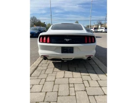 Ford Mustang * * CARFAX * * АВТО КРЕДИТ * * - 14250 € / 27870.58 лв. - 44438451 4 | Car24.bg Ford Mustang * * CARFAX * * АВТО КРЕДИТ * * - 14250 € / 27870.58 лв. - 44438451 4