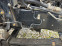 Обява за продажба на Isuzu Midi NPR 3000кб 131кс ITALIA TRISTRANEN ~22 000 лв. - изображение 4
