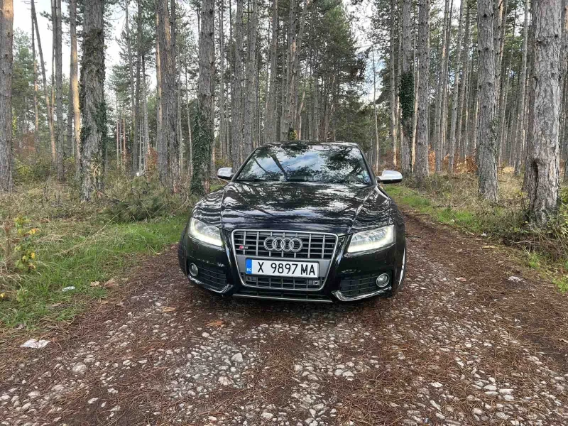 Audi A5 3.0TDI 240 - 18299 лв. / 9356.13 € - 96103733 1 | Car24.bg Audi A5 3.0TDI 240 - 18299 лв. / 9356.13 € - 96103733 1
