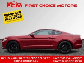 Ford Mustang * ~AUTOMATIC, FULLY CERTIFIED WITH WARRANTY!!!!~ * - 13500 € / 26403.70 лв. - 38703766 3 | Car24.bg Ford Mustang * ~AUTOMATIC, FULLY CERTIFIED WITH WARRANTY!!!!~ * - 13500 € / 26403.70 лв. - 38703766 3
