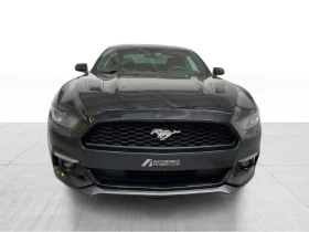 Ford Mustang * V6 A/C Mags * CARFAX * ЦЕНА ДО БГ - 28850 лв. / 14750.77 € - 12381707 4 | Car24.bg Ford Mustang * V6 A/C Mags * CARFAX * ЦЕНА ДО БГ - 28850 лв. / 14750.77 € - 12381707 4