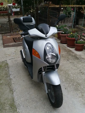 Honda Ns NES 125 | Auto.bg — изображение 4 Honda Ns NES 125 | Auto.bg — изображение 4