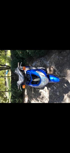 Suzuki Hokuto 110