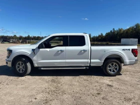 Ford F150 * XLT * KEYLESS * | Auto.bg — изображение 3 Ford F150 * XLT * KEYLESS * | Auto.bg — изображение 3