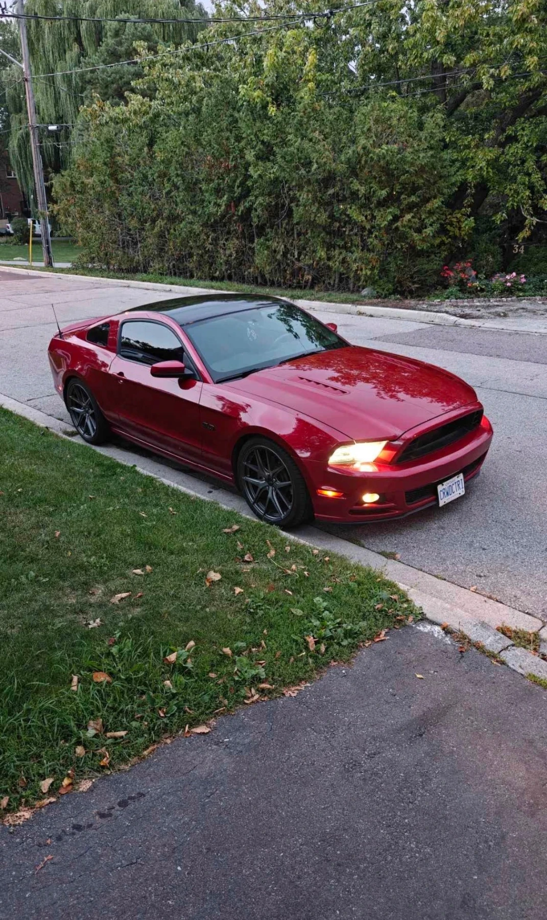 Ford Mustang GT 5.0 | РЪЧКА | ФЕЙС | ПОДГРЕВ | БЕЗ ИНЦИДЕНТИ | | Auto.bg — изображение 1 Ford Mustang GT 5.0 | РЪЧКА | ФЕЙС | ПОДГРЕВ | БЕЗ ИНЦИДЕНТИ | | Auto.bg — изображение 1