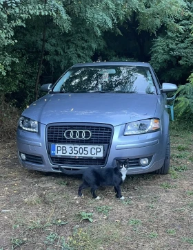 Audi A3 - 3250 € / 6356.45 лв. - 81145102 8 | Car24.bg Audi A3 - 3250 € / 6356.45 лв. - 81145102 8