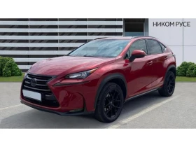 Lexus NX Luxury