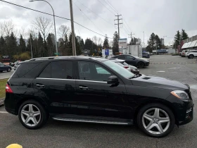 Mercedes-Benz ML 350 BlueTEC/CARFAX/ПОДГРЕВИ/ПАНОРАМА | Auto.bg — изображение 4 Mercedes-Benz ML 350 BlueTEC/CARFAX/ПОДГРЕВИ/ПАНОРАМА | Auto.bg — изображение 4