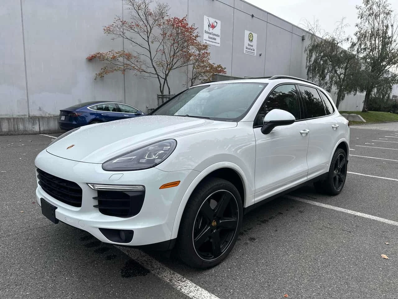 Porsche Cayenne Platinum Edition* CARFAX * 7К км* АВТОФИНАНСИРАНЕ | Auto.bg — изображение 1 Porsche Cayenne Platinum Edition* CARFAX * 7К км* АВТОФИНАНСИРАНЕ | Auto.bg — изображение 1