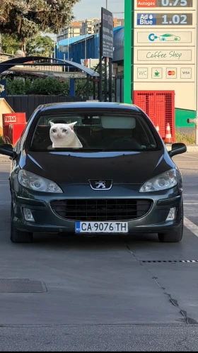 Peugeot 407 2.0HDI | Auto.bg — изображение 9 Peugeot 407 2.0HDI | Auto.bg — изображение 9