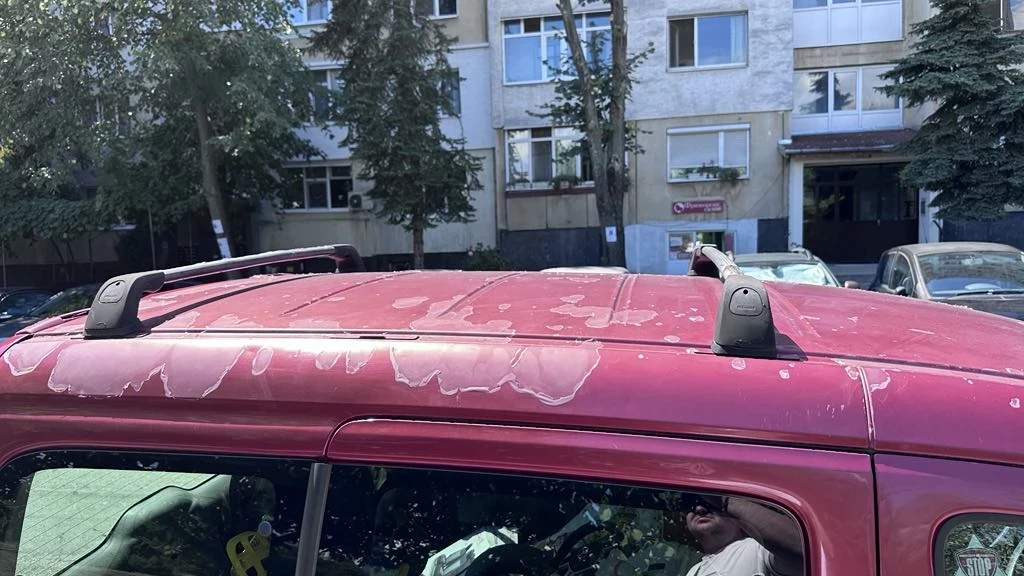 Peugeot Partner  - изображение 9 | Auto.bg Peugeot Partner  - изображение 9