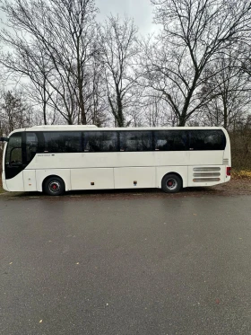 Man Lion S Classic