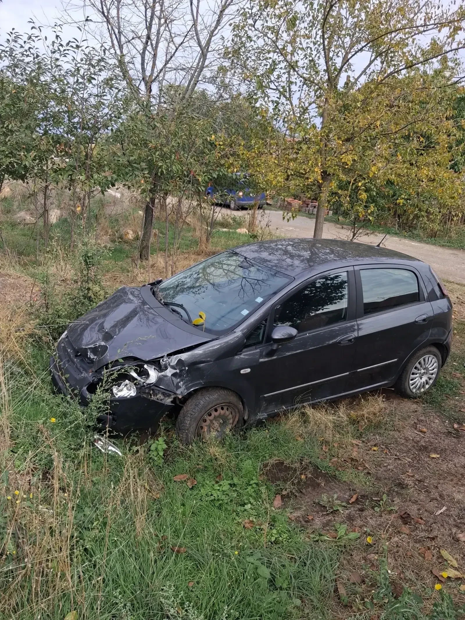Fiat Punto undefined | Auto.bg — изображение 1 Fiat Punto undefined | Auto.bg — изображение 1