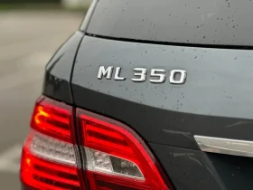 Mercedes-Benz ML 350 - 16600 € - 24256802 10 | Car24.bg Mercedes-Benz ML 350 - 16600 € - 24256802 10