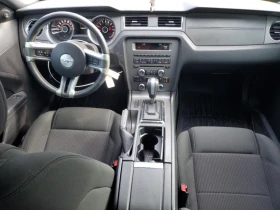 Ford Mustang КОЖА* ПОДГРЕВ* KEYLESS* КАМЕРА - 24500 лв. / 12526.65 € - 36521220 8 | Car24.bg Ford Mustang КОЖА* ПОДГРЕВ* KEYLESS* КАМЕРА - 24500 лв. / 12526.65 € - 36521220 8