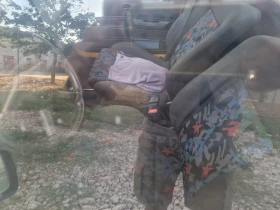 VW Caddy - 4999 € / 9777.19 лв. - 46805643 6 | Car24.bg VW Caddy - 4999 € / 9777.19 лв. - 46805643 6