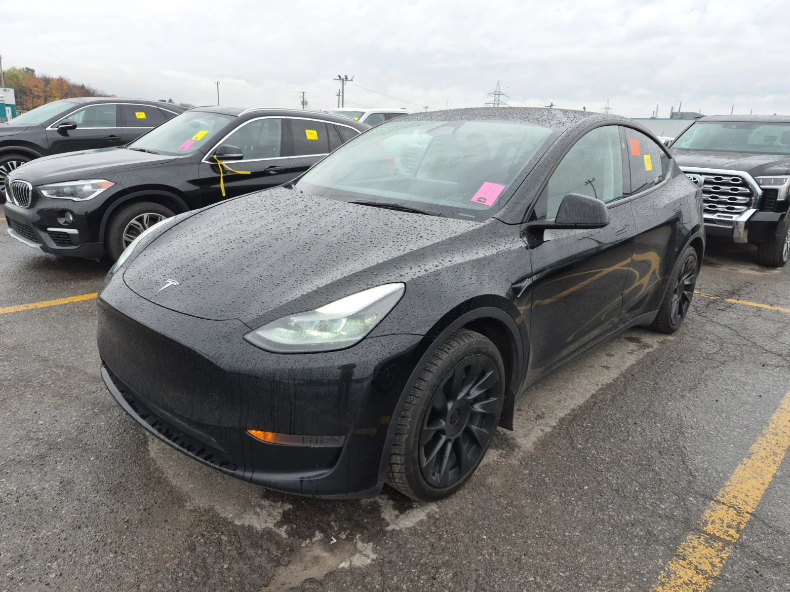 Tesla Model Y RWD * LTD AVAIL* | Auto.bg — изображение 1 Tesla Model Y RWD * LTD AVAIL* | Auto.bg — изображение 1