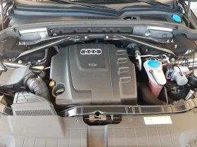 Audi Q5 QUATTRO 2.0 TDI-170 к.с. 6 скорости ЛИЗИНГ - 7199 € / 14080.02 лв. - 89300183 15 | Car24.bg Audi Q5 QUATTRO 2.0 TDI-170 к.с. 6 скорости ЛИЗИНГ - 7199 € / 14080.02 лв. - 89300183 15
