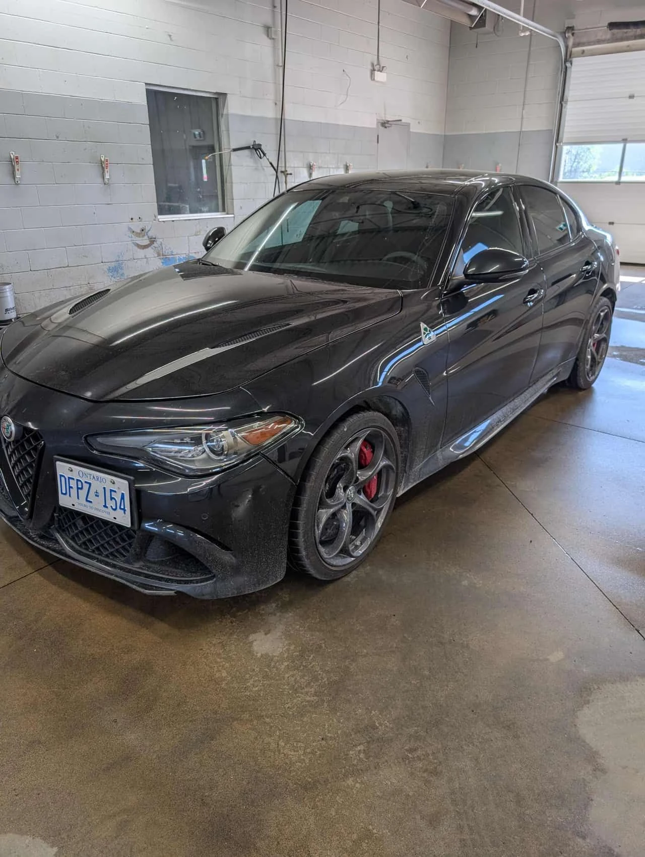 Alfa Romeo Giulia Quadrifoglio / CARBON / АВТОКРЕДИТ | Auto.bg — изображение 1 Alfa Romeo Giulia Quadrifoglio / CARBON / АВТОКРЕДИТ | Auto.bg — изображение 1