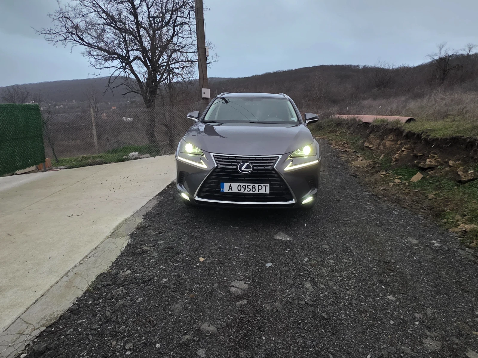 Lexus NX 300h undefined | Auto.bg — изображение 1 Lexus NX 300h undefined | Auto.bg — изображение 1