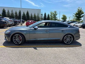 Audi S5 * Technik * CARFAX * ЦЕНА ДО БГ | Auto.bg — изображение 4 Audi S5 * Technik * CARFAX * ЦЕНА ДО БГ | Auto.bg — изображение 4