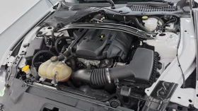 Ford Mustang Coupe 2.3 Ecoboost autogeorge.com | Auto.bg — изображение 9 Ford Mustang Coupe 2.3 Ecoboost autogeorge.com | Auto.bg — изображение 9