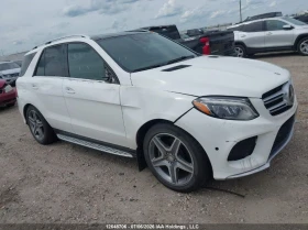 Mercedes-Benz GLE 350 BLUETEC* 4MATIC* PANORAMA* ПОДГРЕВ - 15700 € / 30706.53 лв. - 74776892 9 | Car24.bg Mercedes-Benz GLE 350 BLUETEC* 4MATIC* PANORAMA* ПОДГРЕВ - 15700 € / 30706.53 лв. - 74776892 9