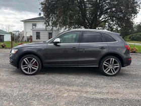 Audi SQ5 * Technik * АВТОКРЕДИТ * ГЛАВНО ПРЕДСТАВИТЕЛСТВО | Auto.bg — изображение 3 Audi SQ5 * Technik * АВТОКРЕДИТ * ГЛАВНО ПРЕДСТАВИТЕЛСТВО | Auto.bg — изображение 3