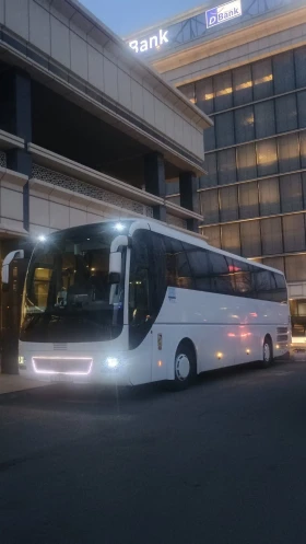 Man Lion S Classic Lion s Coach