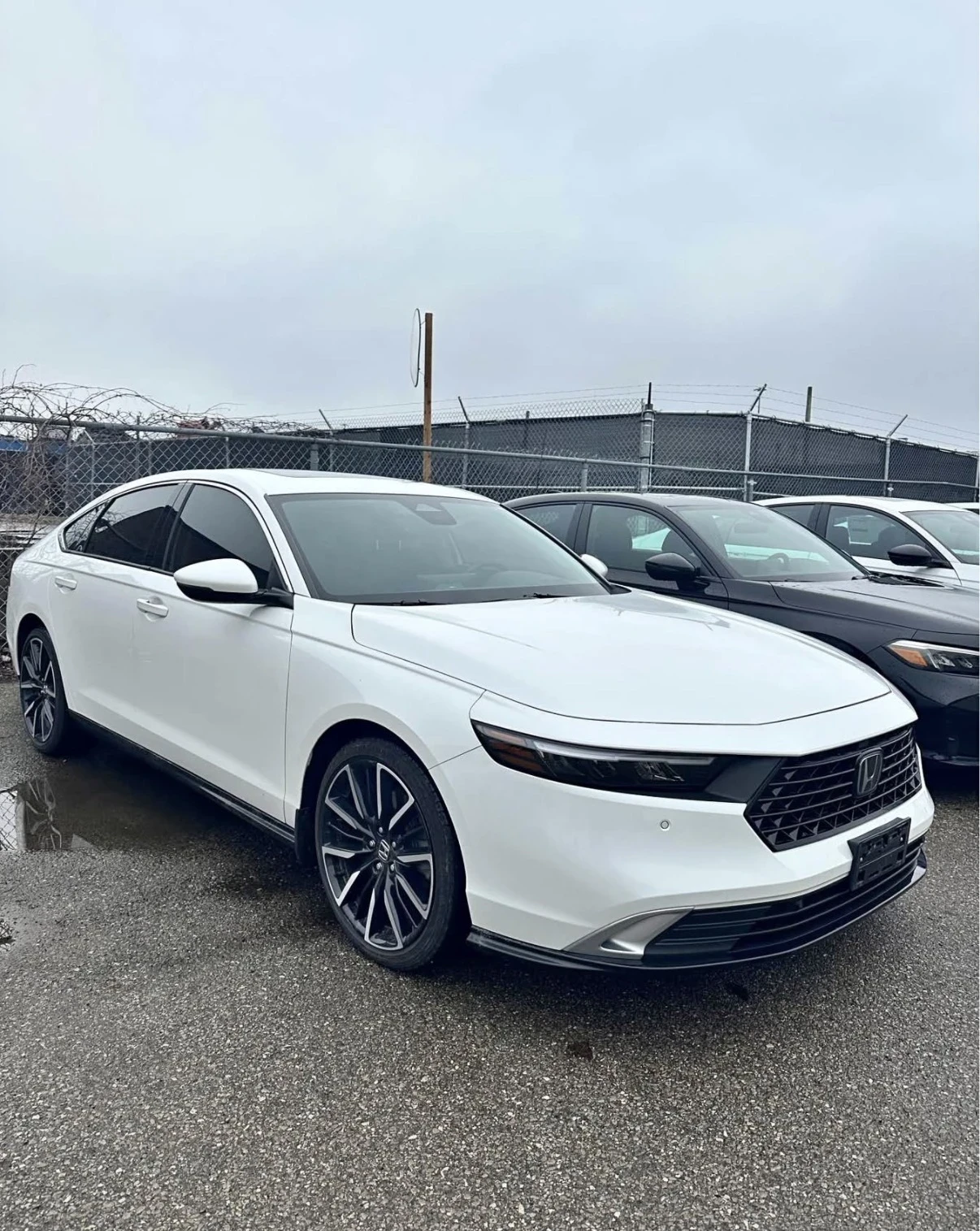 Honda Accord Hybrid * Carplay * Камера * Blind Spot * Сarfax * | Auto.bg — изображение 1 Honda Accord Hybrid * Carplay * Камера * Blind Spot * Сarfax * | Auto.bg — изображение 1