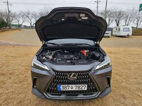 Lexus NX 450 Premium | Auto.bg — изображение 11 Lexus NX 450 Premium | Auto.bg — изображение 11