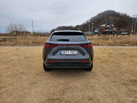 Lexus NX 450 Premium | Auto.bg — изображение 6 Lexus NX 450 Premium | Auto.bg — изображение 6