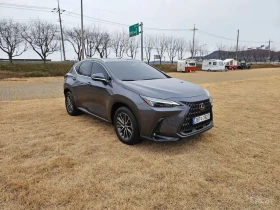 Lexus NX 450 Premium